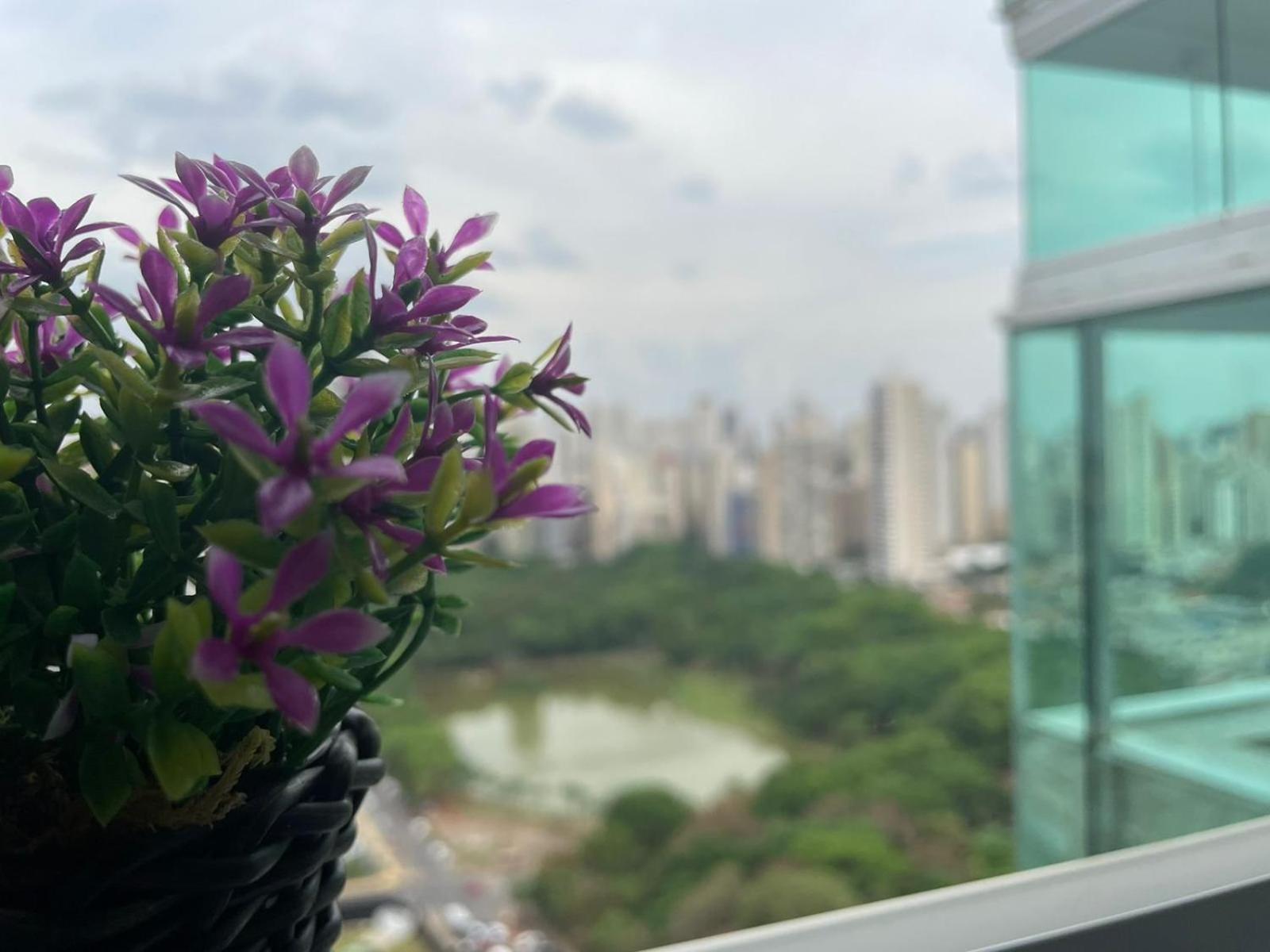 Апартаменты 2 Qts.| 4 Hosp. | Ao Lado Do Goiania Shopping Экстерьер фото
